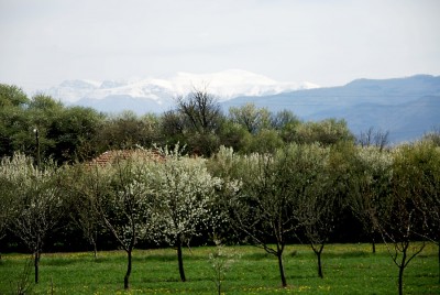 DSC_0553.JPG