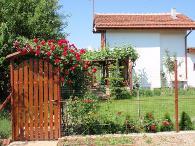 P5260738-2.jpg