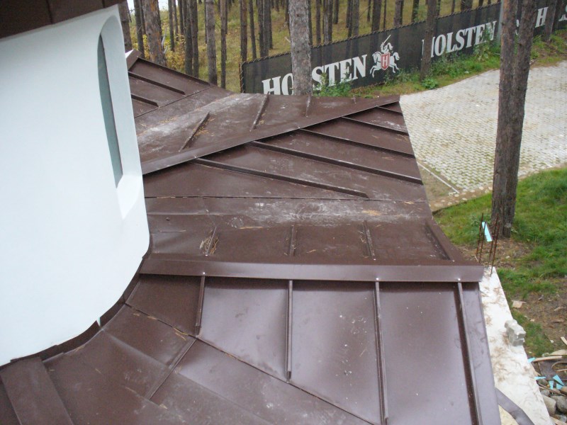 P1070846.jpg