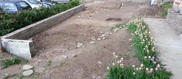 20130512_182617.jpg