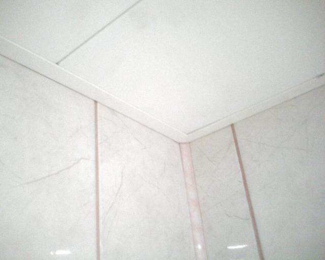 004975130.jpg