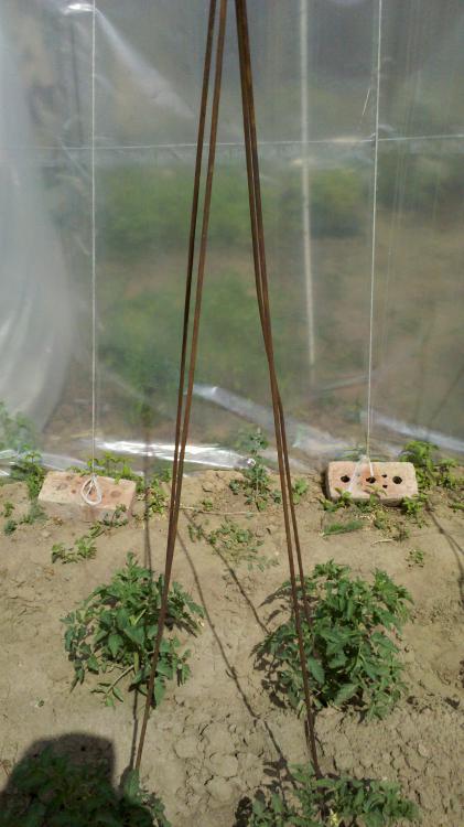 2013-05-19_15-24-33_232.jpg
