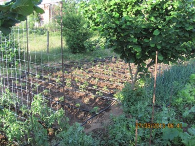 Picture 1906-1.jpg