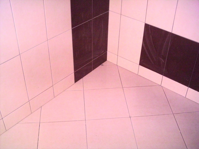 PICT0008.JPG