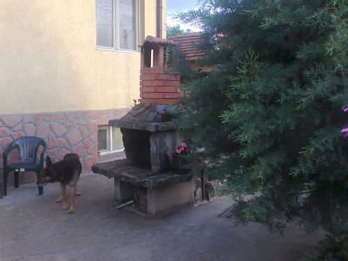 Снимка0170a.jpg