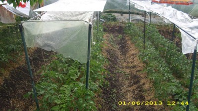 IMG_0292.JPG