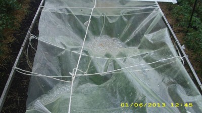 IMG_0293.JPG