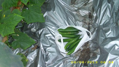 IMG_0303.JPG