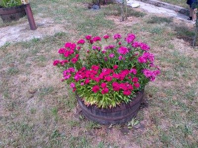 IMG-20130519-00043.jpg