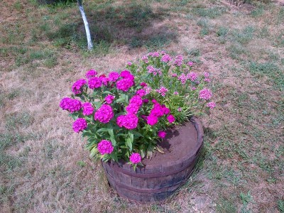 IMG-20130519-00045.jpg