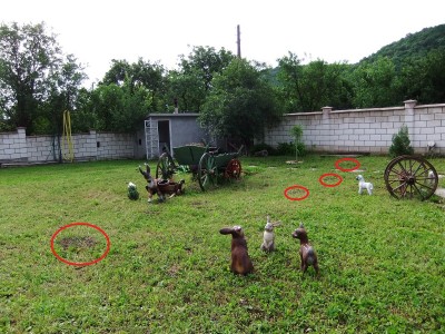 DSCF0722.JPG