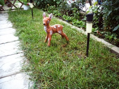 PICT0005.JPG
