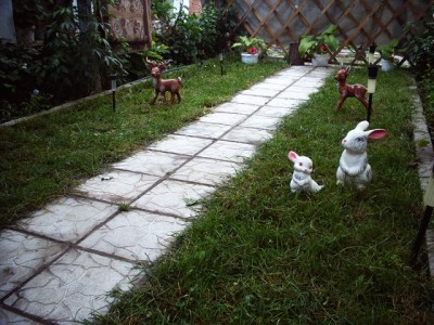 PICT0004.JPG