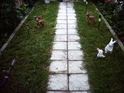 PICT0008.JPG