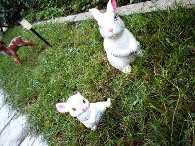 PICT0028.JPG