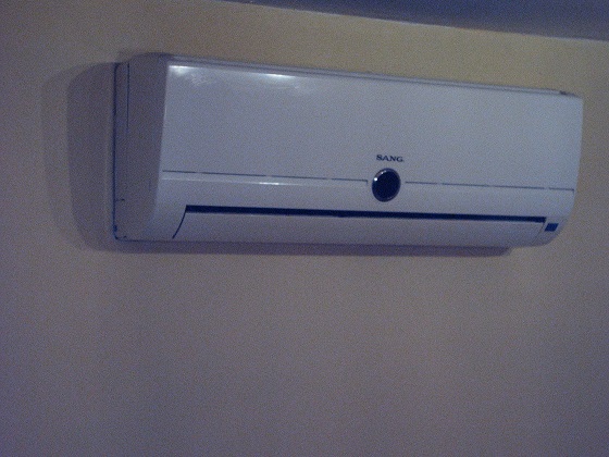 PICT0042.JPG