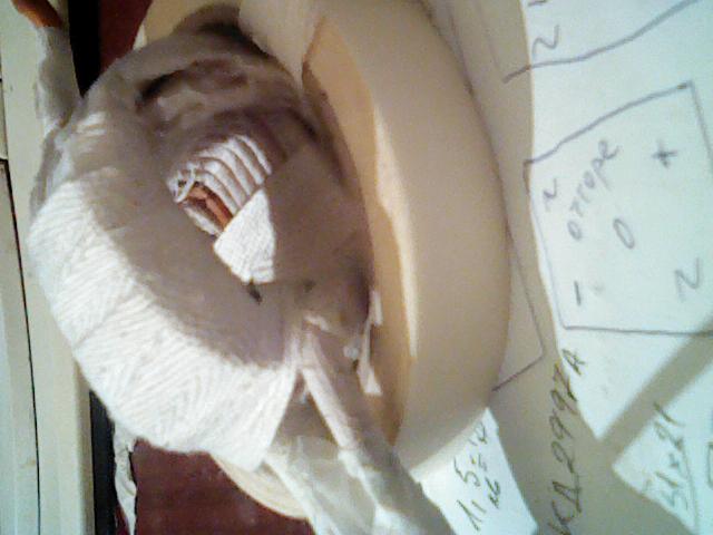 Picture 030.jpg