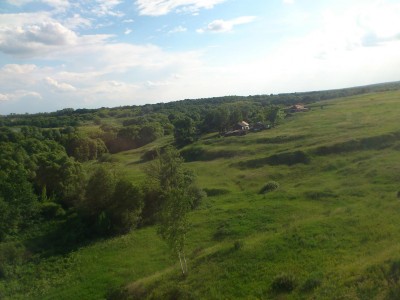 DSC_1329.jpg