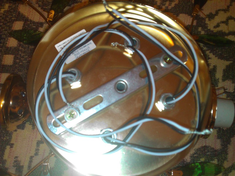 WP_000361.jpg