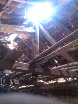 IMG_20130608_152221_forum.jpg