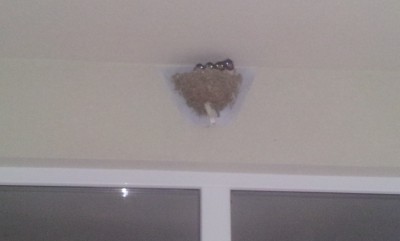 20130627_190926.jpg