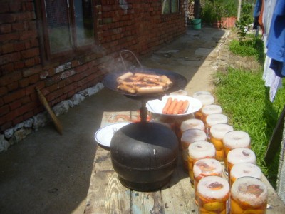 S7000291.JPG