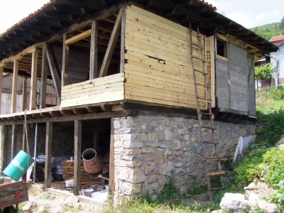 P1010350.JPG