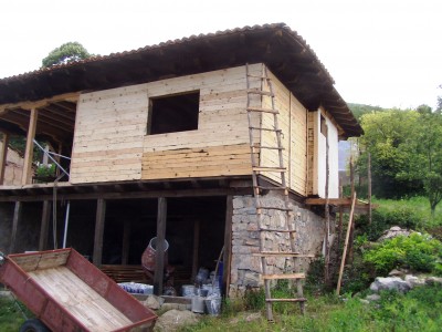 P1010376.JPG