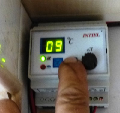 P1000307.JPG