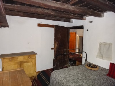 DSC01141 - Copy.JPG
