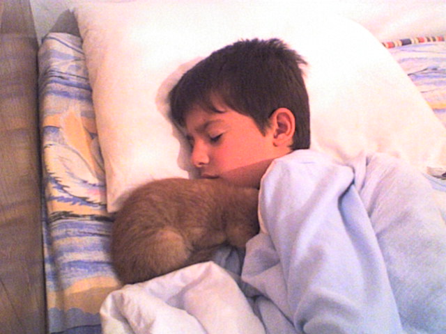 SP_A0354.jpg