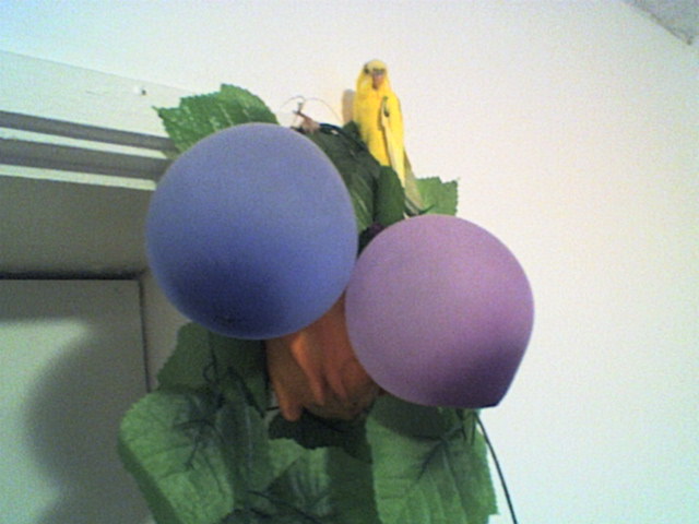 SP_A0627.jpg