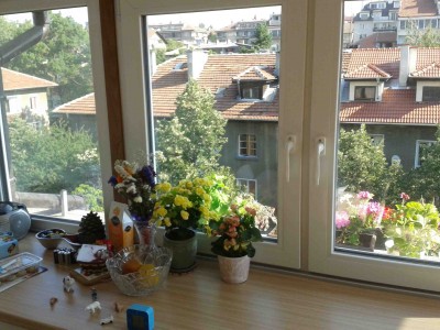 20130728_093104.jpg