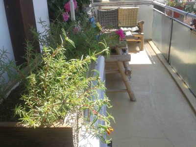 20130804_121751.jpg