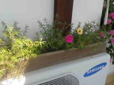 20130804_121759.jpg