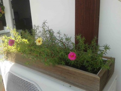 20130804_121815.jpg