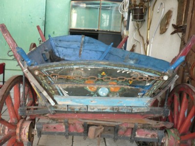 P1090178m.jpg
