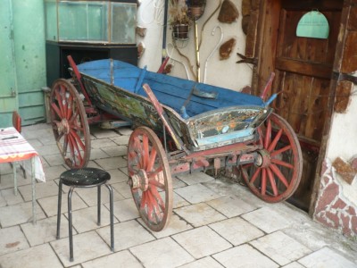 P1090177m.jpg