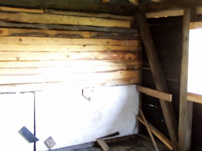 P1010393.JPG