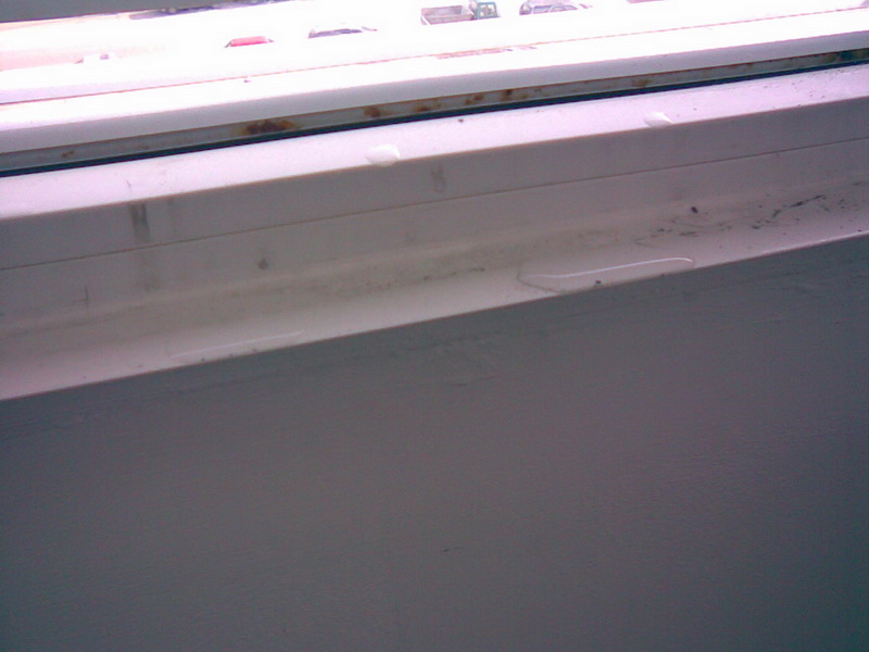 27012008(001).jpg