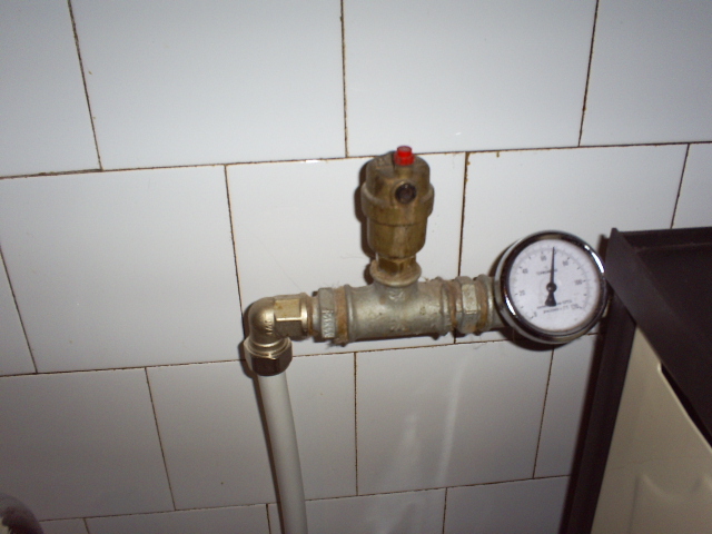 S4030479.JPG