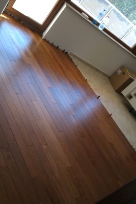IMAG0154.jpg