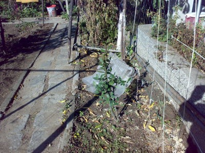 051020132225.jpg