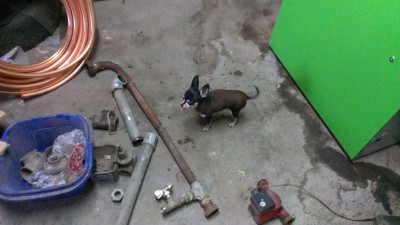 IMAG0376-0.jpg