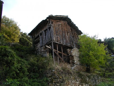 PA110142.JPG