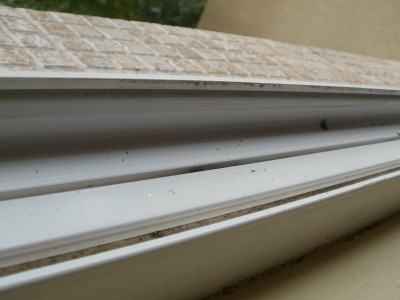 PA260010.JPG