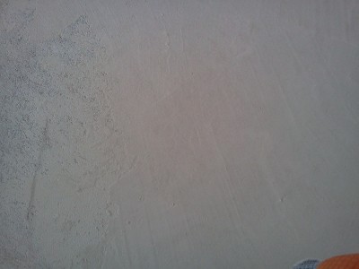 IMG2651.jpg