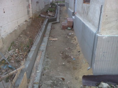 IMG2644.jpg