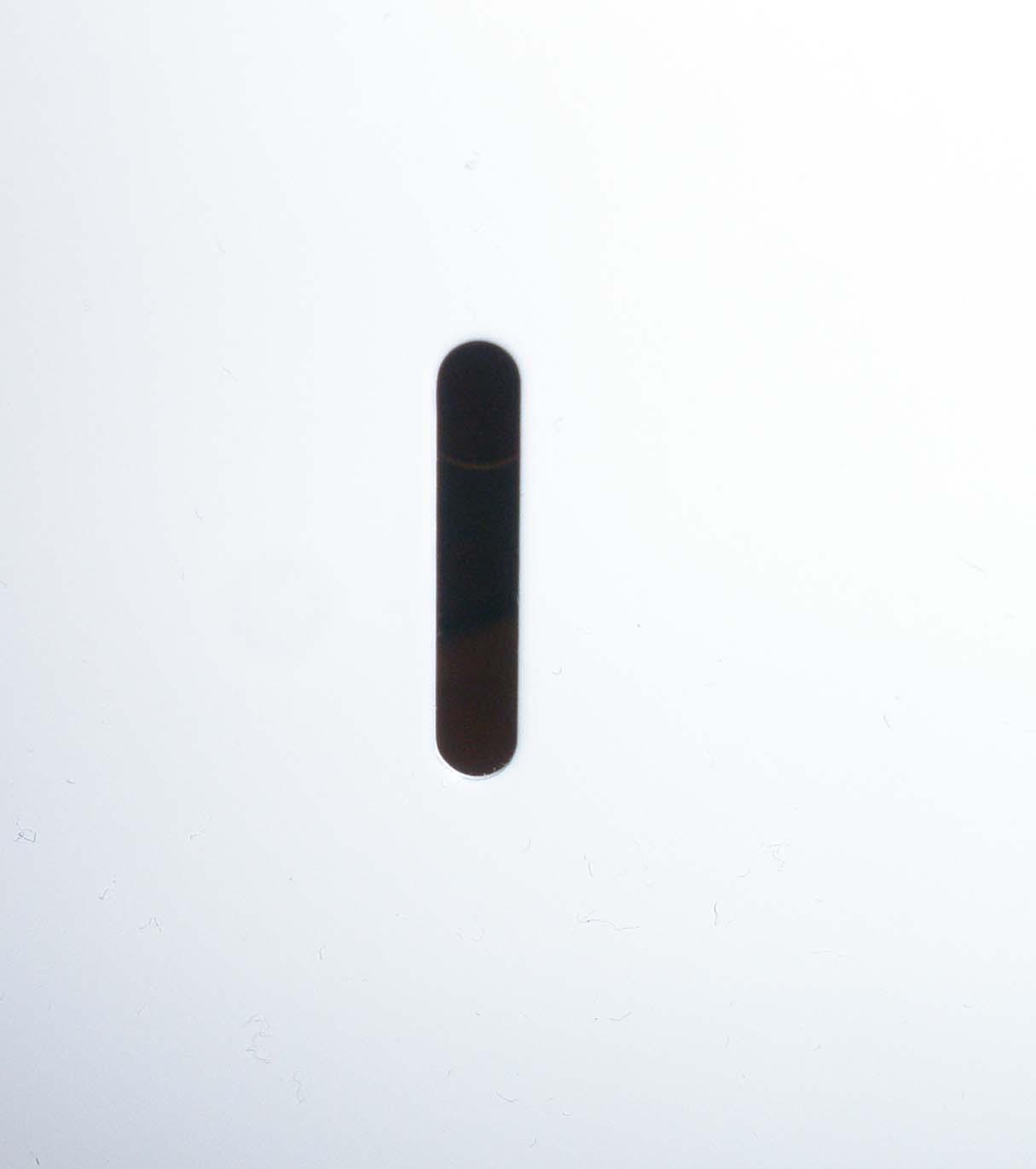 PB172223.JPG