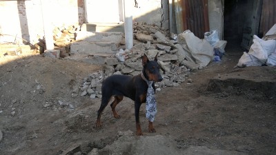 2013-10-24-731.jpg